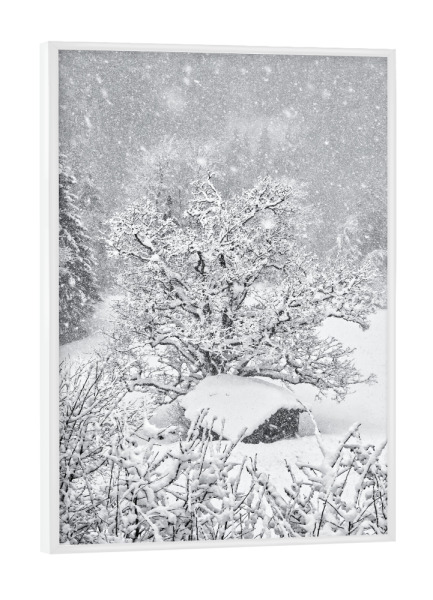 Poster mit weißem Rahmen "Verschneite Hütte in den Bergen" artboxONE - Natur,Reise,Schwarzweiß