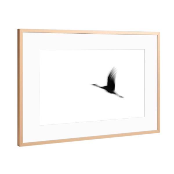 Poster mit Rahmen Kupfer "Fliegender Kranich" artboxONE - Natur,Tiere,Reise / Länder