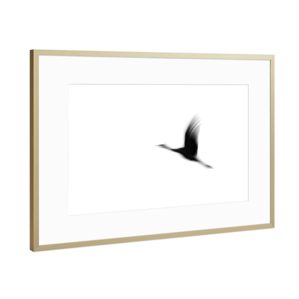 Poster mit Rahmen Gold "Fliegender Kranich" artboxONE - Natur,Tiere,Reise / Länder
