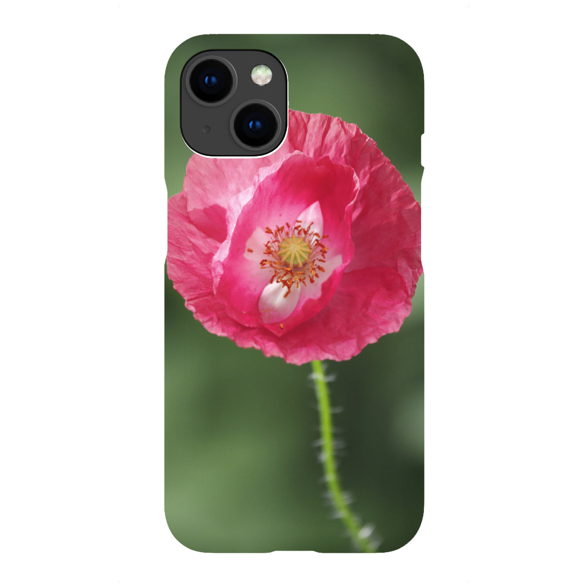 "Mohnblume Nahaufnahme, pink"für iPhone - Premium-Case Handyhülle artboxONE