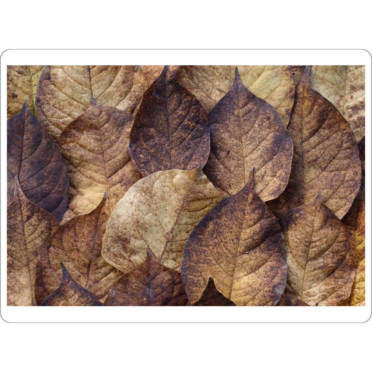 Tischset "Herbstblätter Beige Braun Rot" artboxONE - Natur,Floral,Abstrakt