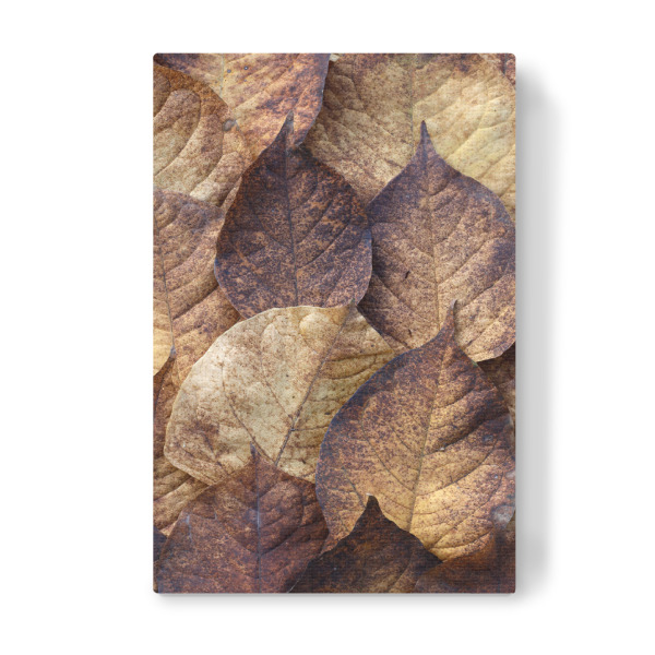 Leinwandbild "Herbstblätter Beige Braun Rot" artboxONE - Natur,Floral,Abstrakt