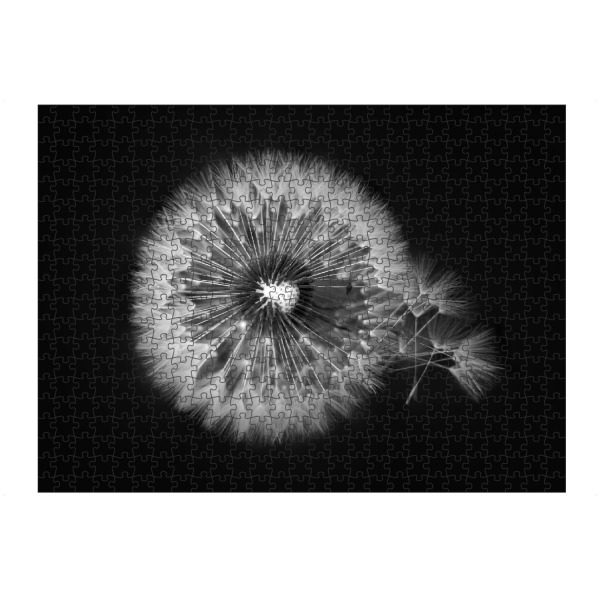 artboxONE Puzzle "Pusteblume Detail schwarz-weiß" artboxONE - Natur,Floral,Schwarzweiß