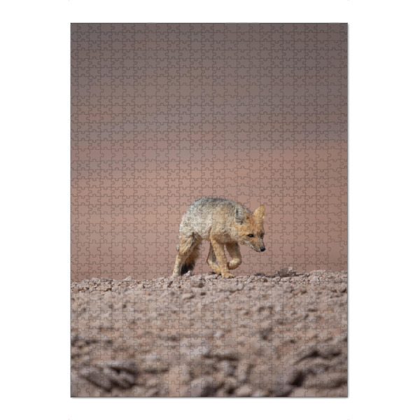 Puzzle Ravensburger "Desert Fox Prowl" artboxONE - Natur,Tiere - Fuchs,Andenfuchs,Wildlife,Natur,Wüste,Wanderung,Bewegung,Durchhalten - Bild fuchs