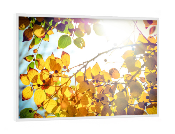 Poster mit weißem Rahmen "Der Winter ist endlich da" artboxONE - Natur,Floral