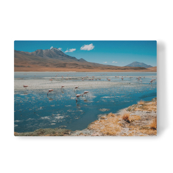 Leinwandbild "Laguna Hedionda, Bolivien" artboxONE - Natur,Reise - Bolivien,Landschaft,See,Wüste,Hochland,Gebirge,Flamingos,Berge,Natur,Südamerika