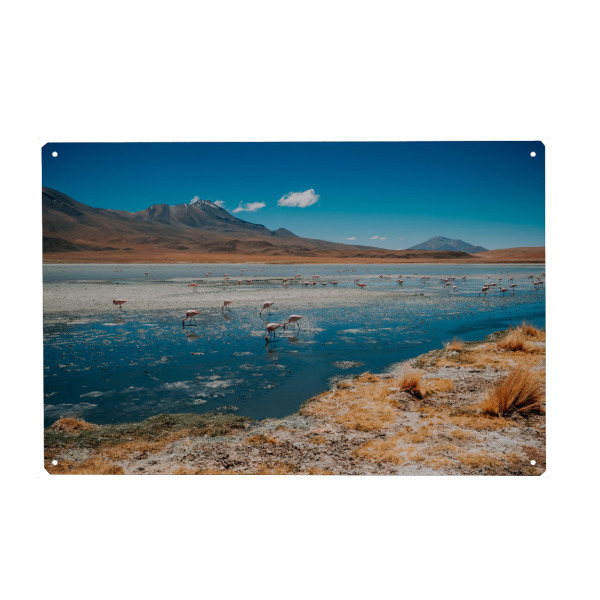 Holzbild "Laguna Hedionda, Bolivien" artboxONE - Natur,Reise - Bolivien,Landschaft,See,Wüste,Hochland,Gebirge,Flamingos,Berge,Natur,Südamerika
