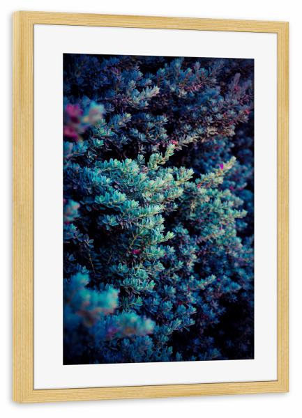 Poster mit Rahmen kiefer "Purple bush" artboxONE - Natur,Floral
