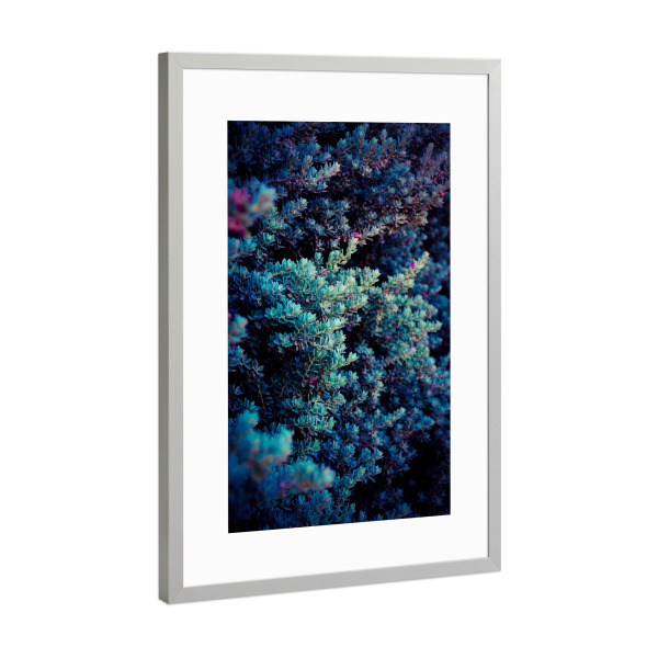 Poster mit Rahmen Silber "Purple bush" artboxONE - Natur,Floral