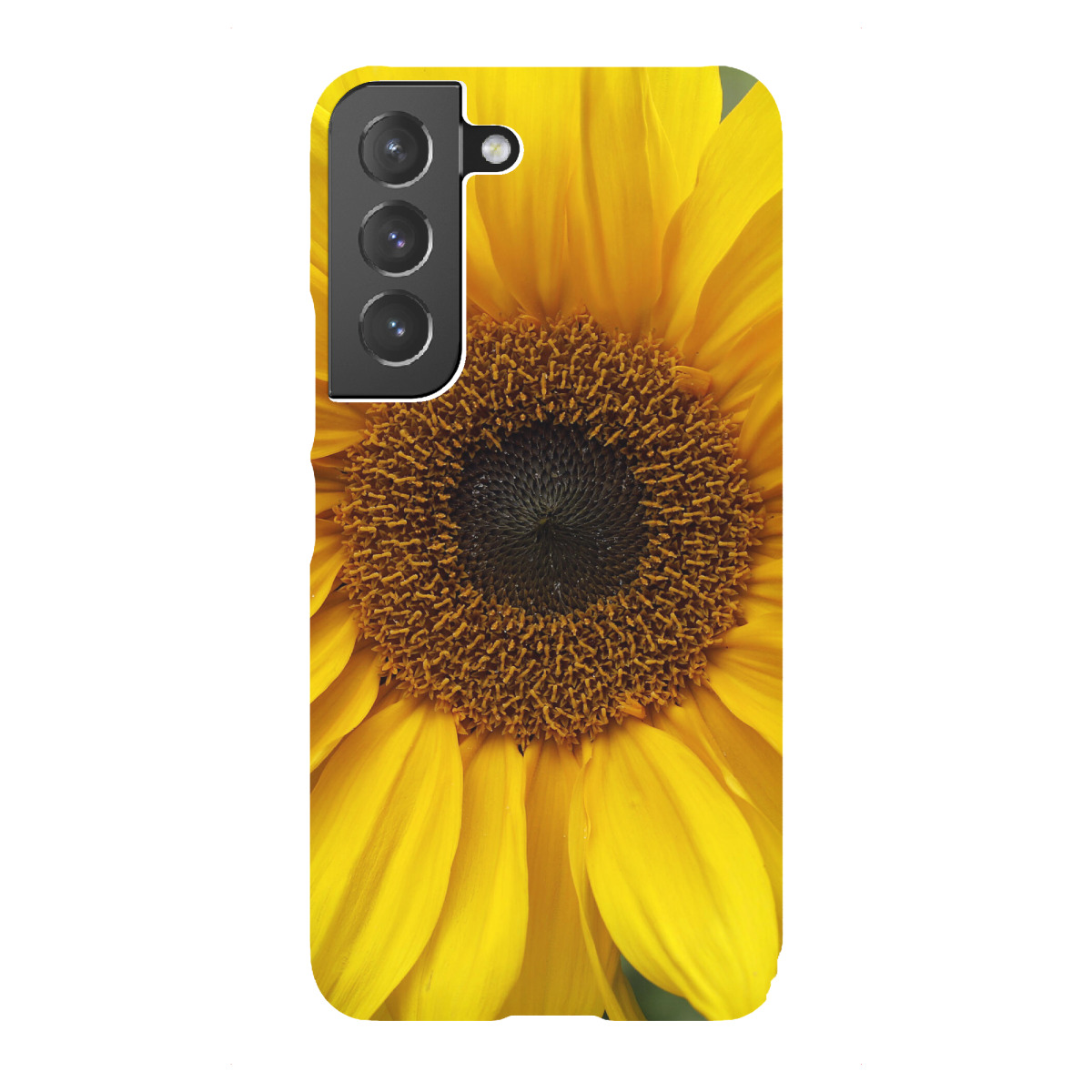 "Sonnenblumen Detail Gelb Orange"für Samsung Galaxy - Premium-Case Handyhülle artboxONE