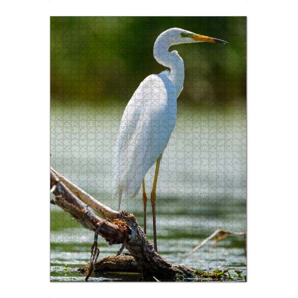 Puzzle Ravensburger "Silberreiher im Donaudelta" artboxONE - Tiere - Reiher,Silberreiher,Donaudelta,Vogel,Wildlife,Vögel - Bild reiher