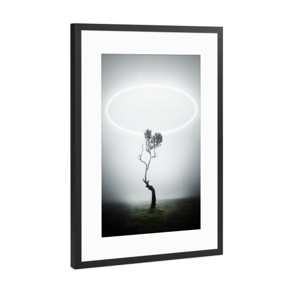 Poster mit Rahmen Schwarz (Metallic) "The Holy Tree" artboxONE - Natur,Reise,Abstrakt