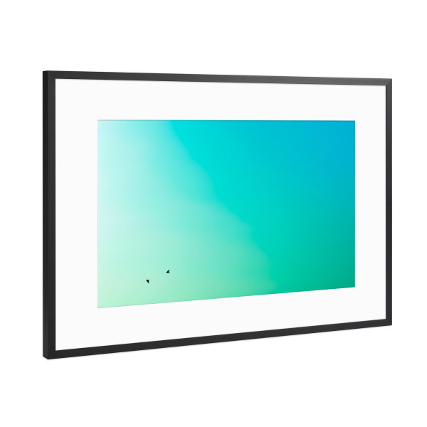 Poster mit Rahmen Schwarz (Metallic) "Auf und ab" artboxONE - Natur,Tiere