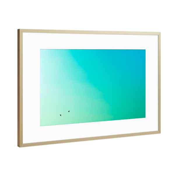 Poster mit Rahmen Gold "Auf und ab" artboxONE - Natur,Tiere