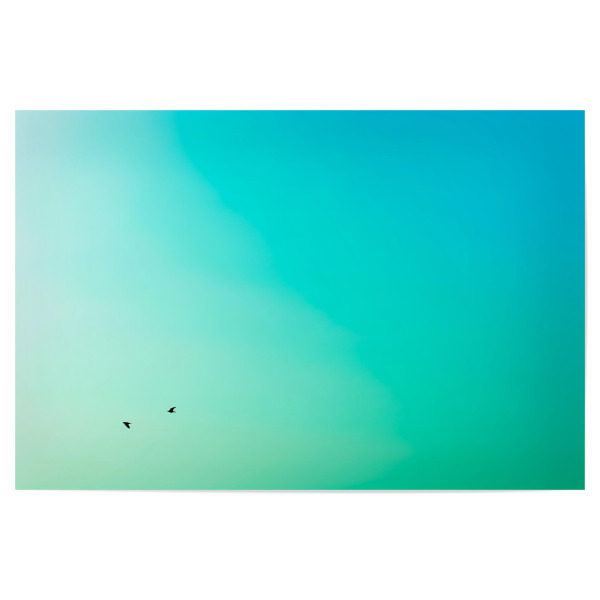 Poster 30x20 cm "Auf und ab" artboxONE - Natur,Tiere
