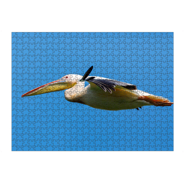 Puzzle Ravensburger "Pelikan im Flug" artboxONE - Tiere - Pelikan,Vogel,Donaudelta,Wildlife,Flug,Fliegen,Freiheit - Bild pelikan