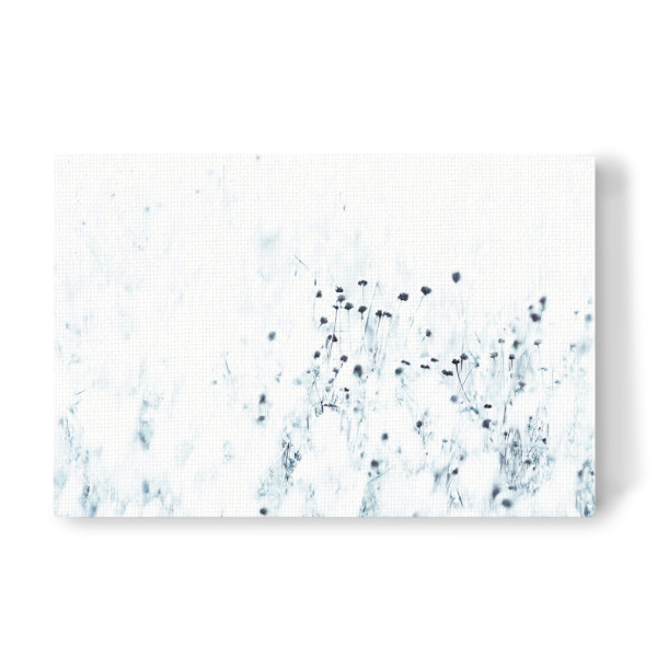 Leinwandbild "Syrische Distel" artboxONE - Natur,Floral,Abstrakt