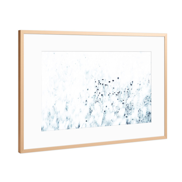 Poster mit Rahmen Kupfer "Syrische Distel" artboxONE - Natur,Floral,Abstrakt