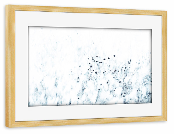 Poster mit Rahmen kiefer "Syrische Distel" artboxONE - Natur,Floral,Abstrakt