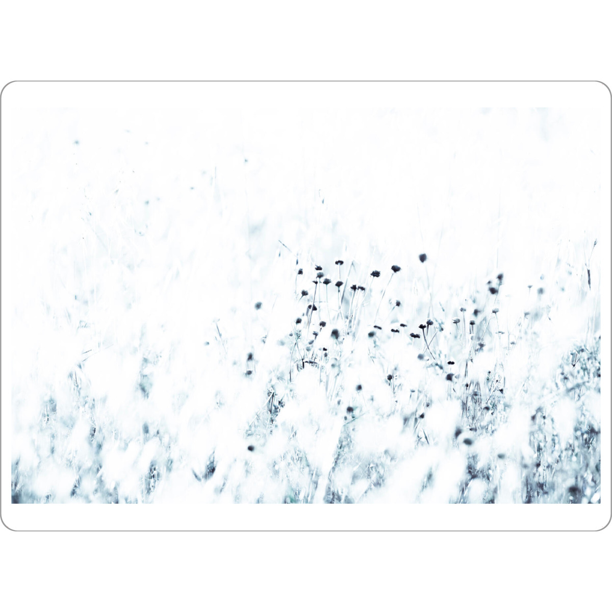 Tischset "Syrische Distel" artboxONE - Natur,Floral,Abstrakt