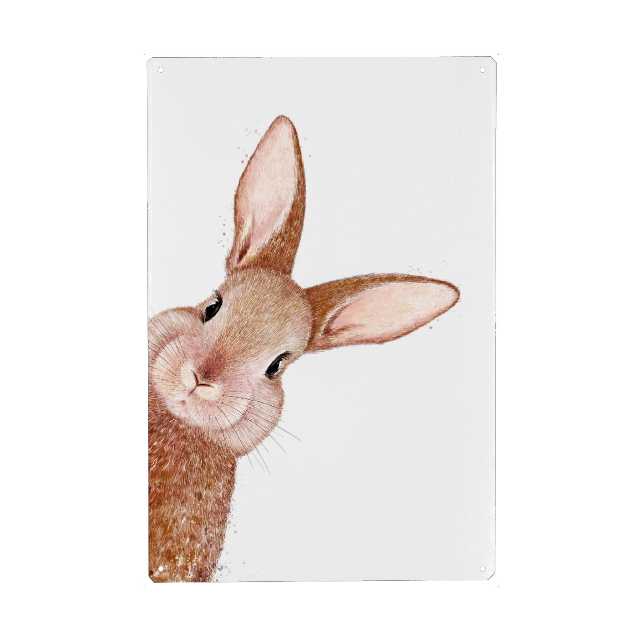 Metall Poster "Spähendes Kaninchen" artboxONE - Natur,Tiere,Liebe,Für Mama,Lustig