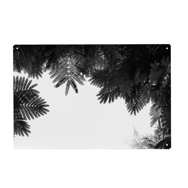 Metall Poster "Baumwipfel öffnen" artboxONE - Natur,Floral