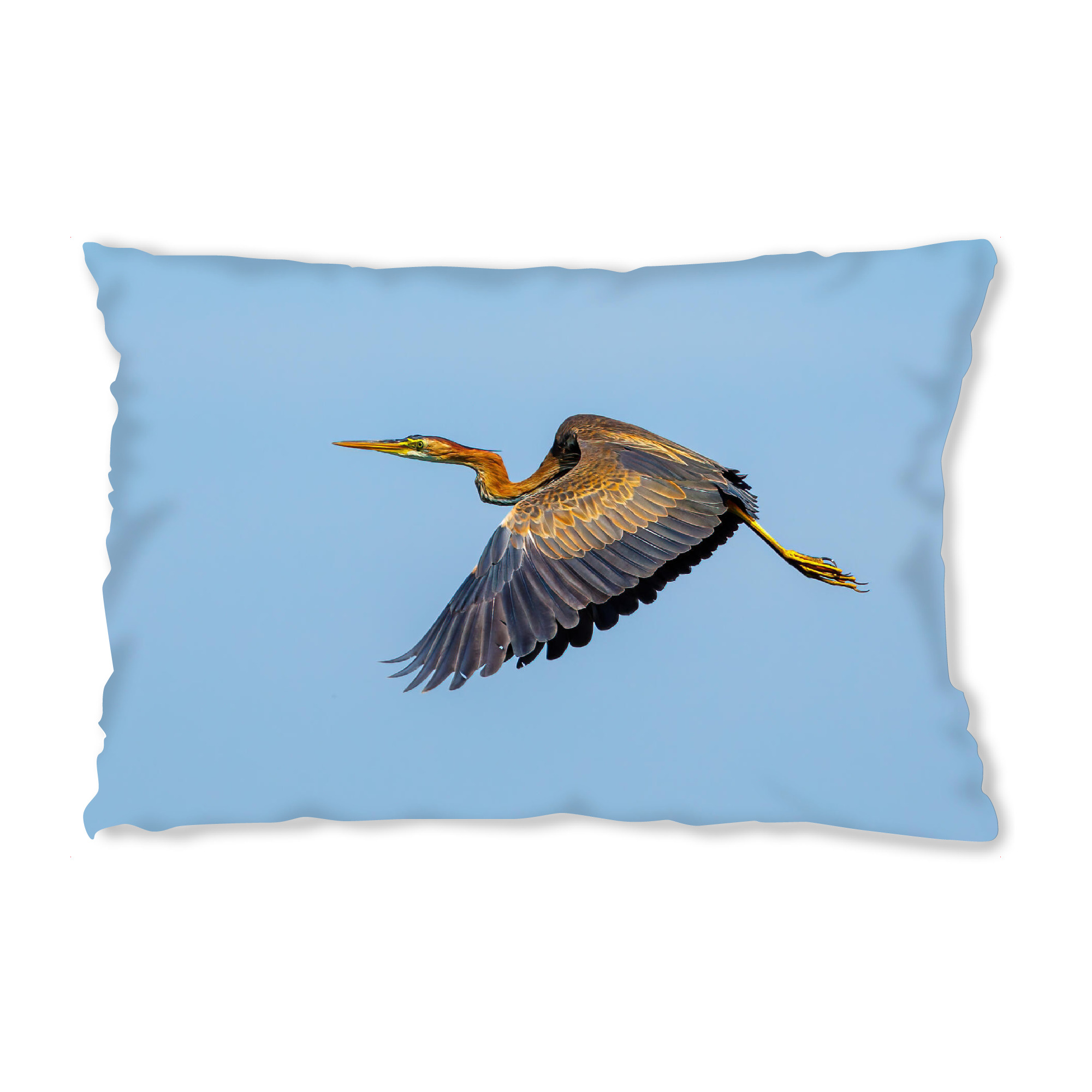 Design-Kissen "Purpurreiher im Donaudelta" artboxONE - Natur,Tiere - Purpurreiher,Reiher,Vogel,Wildlife,Donaudelta - Bild purpurreiher