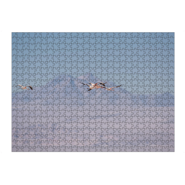 Puzzle Ravensburger "Flamingoes in the Distance" artboxONE - Natur,Tiere