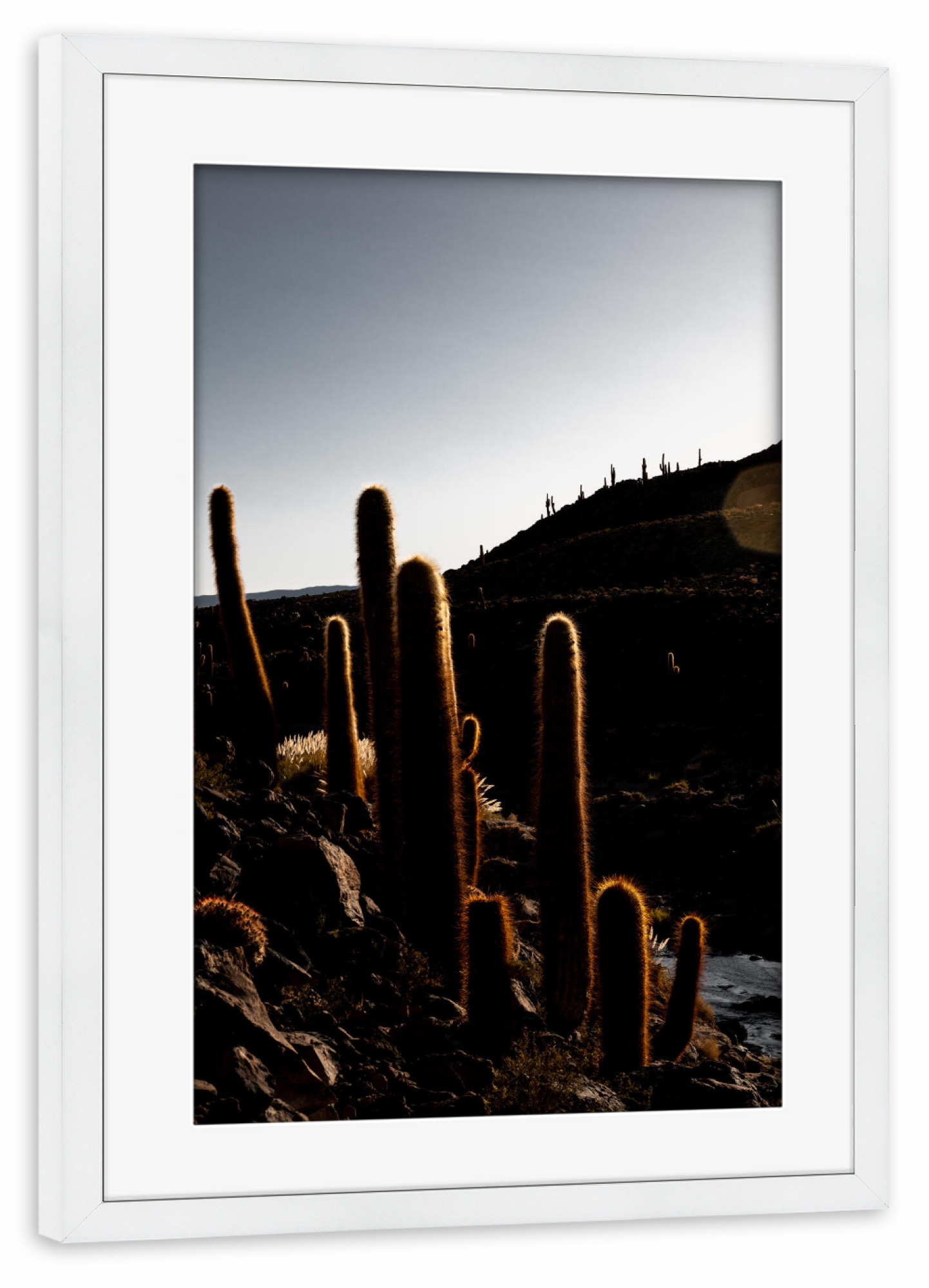 Poster mit Rahmen weiß "Backlight Cactus" artboxONE - Natur,Floral - Landschaft,Schwarzweiss,Lowkey,Wüste,Atacama,Chile,Düster,Glanz
