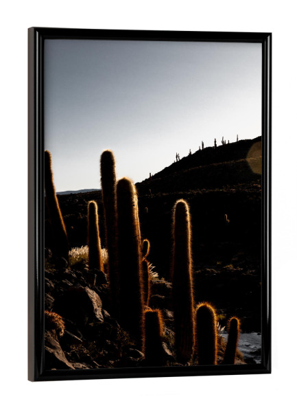 Poster mit schwarzem Rahmen "Backlight Cactus" artboxONE - Natur,Floral - Landschaft,Schwarzweiss,Lowkey,Wüste,Atacama,Chile,Düster,Glanz