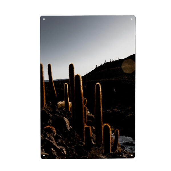 Holzbild "Backlight Cactus" artboxONE - Natur,Floral - Landschaft,Schwarzweiss,Lowkey,Wüste,Atacama,Chile,Düster,Glanz