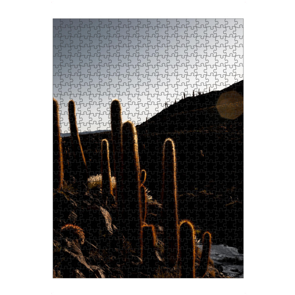 Puzzle Ravensburger "Backlight Cactus" artboxONE - Natur,Floral - Landschaft,Schwarzweiss,Lowkey,Wüste,Atacama,Chile,Düster,Glanz - Bild landschaft