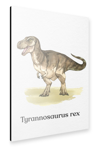 Alu-Dibond "Tyrannosaurus Rex" 30x20 cm artboxONE