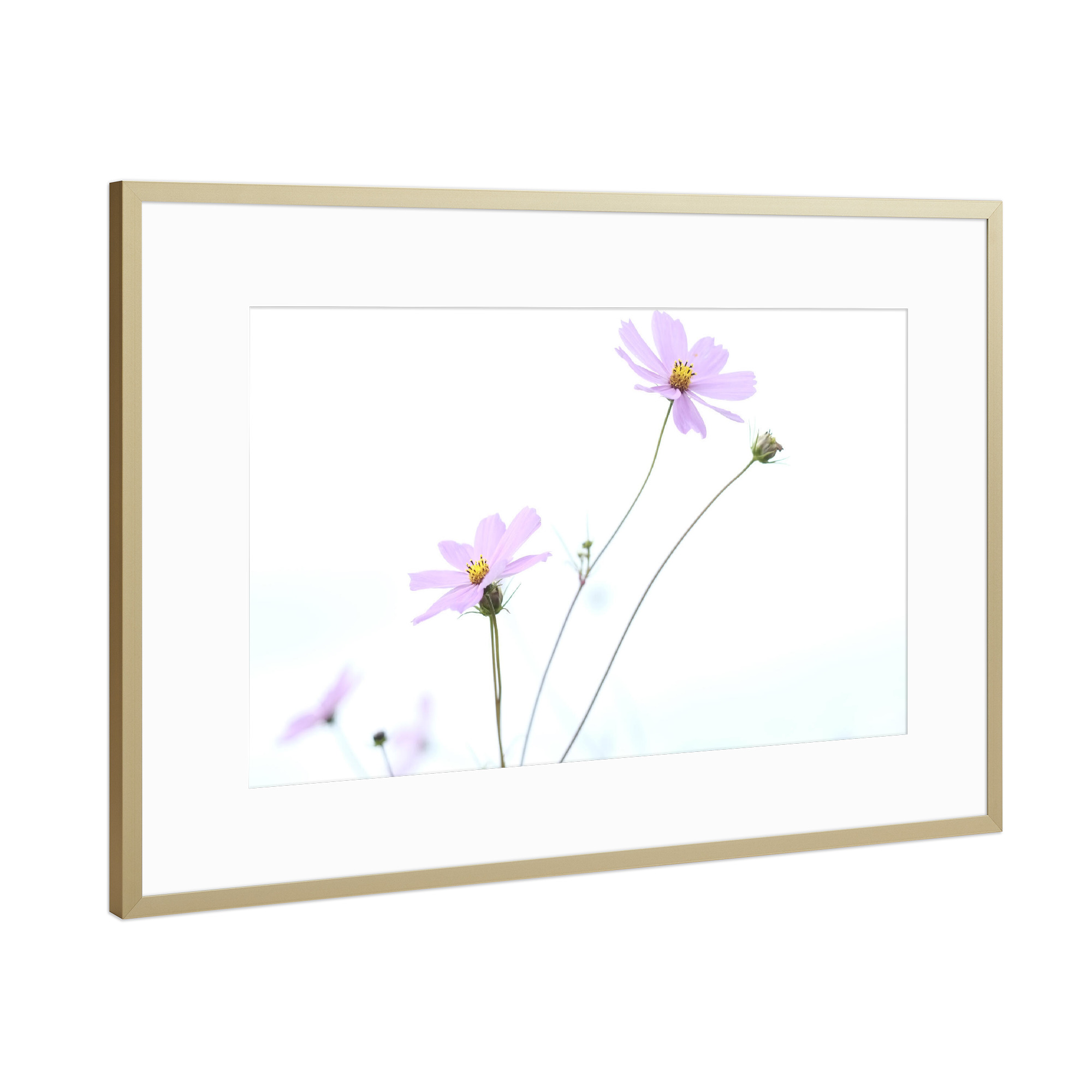 Poster mit Rahmen Gold "Pink Autumn" artboxONE - Natur,Floral,Liebe - Herbst,Floral,Blume
