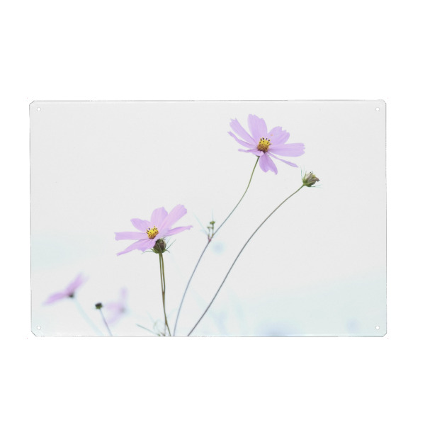 Metall Poster "Pink Autumn" artboxONE - Natur,Floral,Liebe - Herbst,Floral,Blume - Blechschild