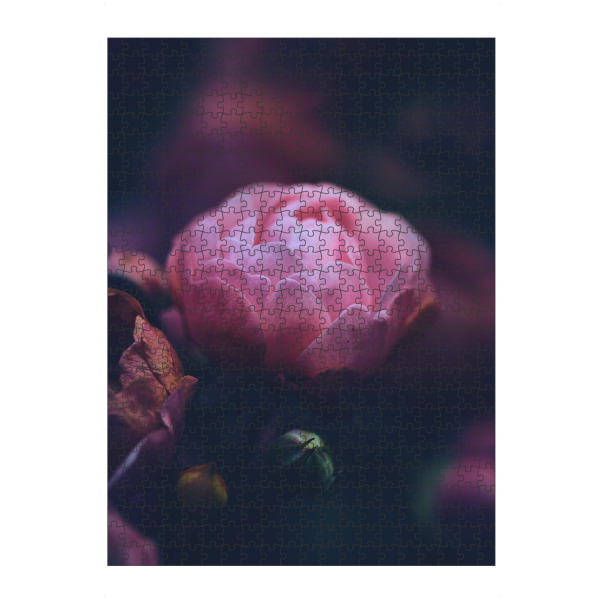 Puzzle Ravensburger "Langsam welkende Rose" artboxONE - Natur,Floral