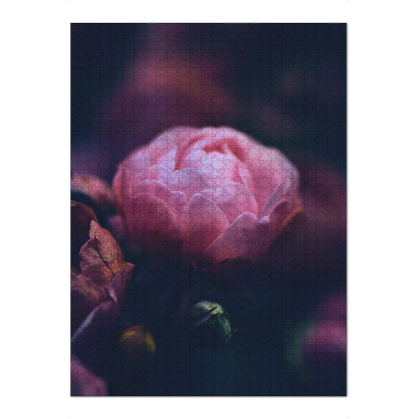 Puzzle Ravensburger "Langsam welkende Rose" artboxONE - Natur,Floral