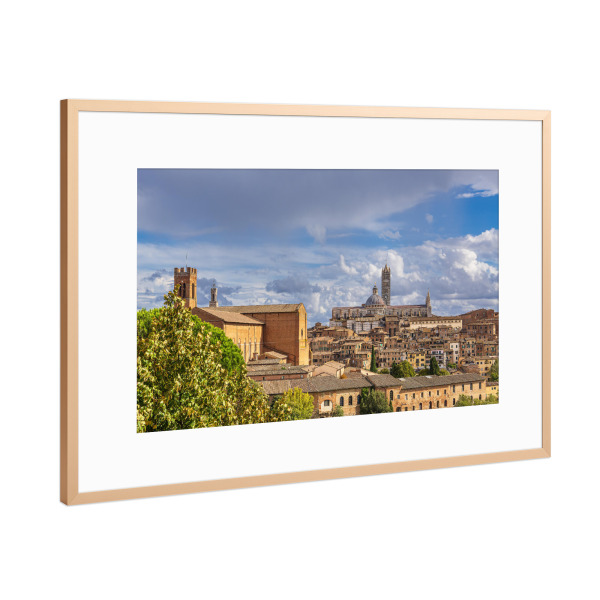 Poster mit Rahmen Kupfer "Bäume, Häuser, Dom" artboxONE - Natur,Reise,Architektur,Reise / Länder,Städte / Weitere