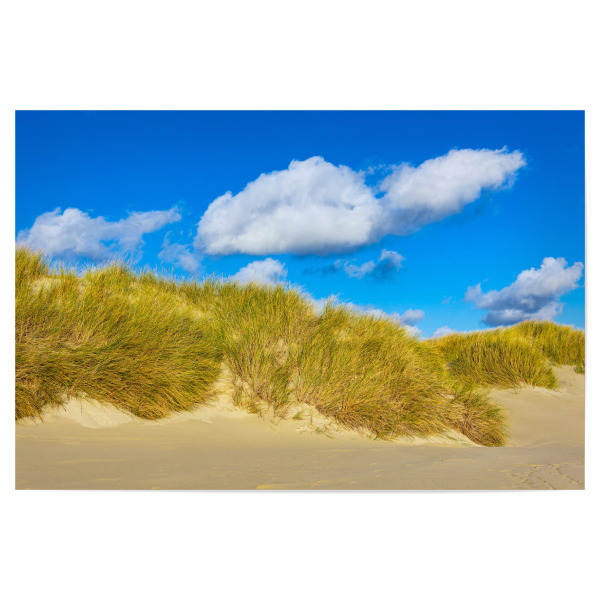 Poster "Wolken, Dünengras, Sand" artboxONE - Natur,Reise,Reise / Strand und Meer