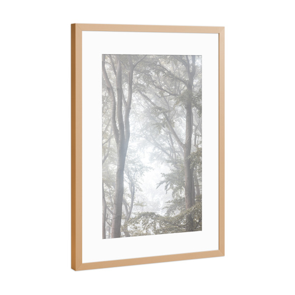 Poster mit Rahmen Kupfer "Nebelbäume" artboxONE - Natur,Floral - Nebel,Neblig,Bäume,Wald,Blätter,äste,Baumstämme,Buchen,Buchenwald,Siebengebirge