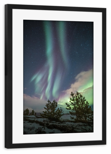 Poster mit Rahmen schwarz "Aurora Trees" artboxONE - Natur,Galaxy