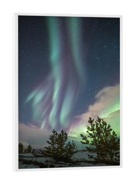 Poster mit weißem Rahmen "Aurora Trees" artboxONE - Natur,Galaxy
