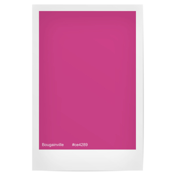 Poster 30x20 cm "Bougainville" artboxONE - Typografie,Abstrakt - Bougainville,Pink,Pinkribbon,Brustkrebsvorsorge,Brust,Minimalismus,Farbe,Farbcode