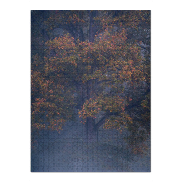 Puzzle Ravensburger "Herbstliche Eiche im Morgennebel" artboxONE - Natur