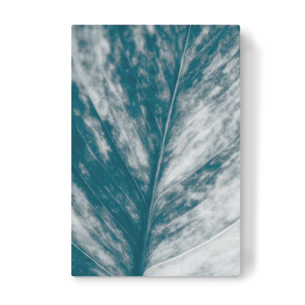 Leinwandbild "Blätterkunst" artboxONE - Natur,Floral - Blatt,Pflanzenblatt,Makrofotografie,Blattadern,Efeutute,Nahaufnahme