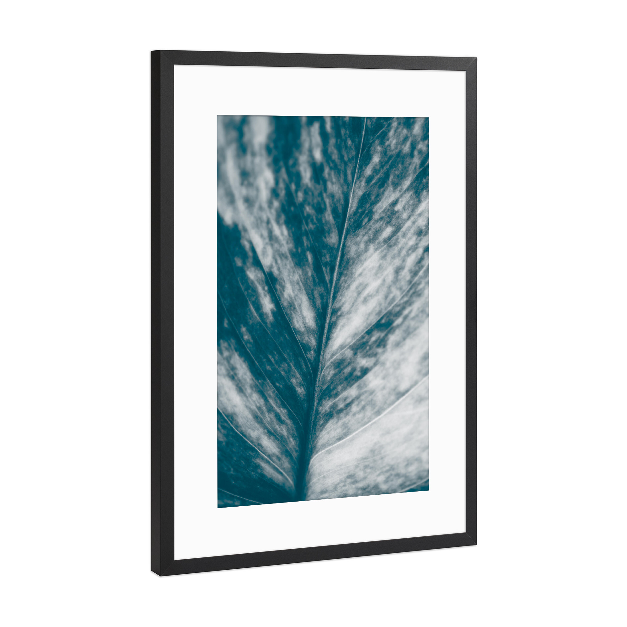Poster mit Rahmen Schwarz (Metallic) "Blätterkunst" artboxONE - Natur,Floral - Blatt,Pflanzenblatt,Makrofotografie,Blattadern,Efeutute,Nahaufnahme