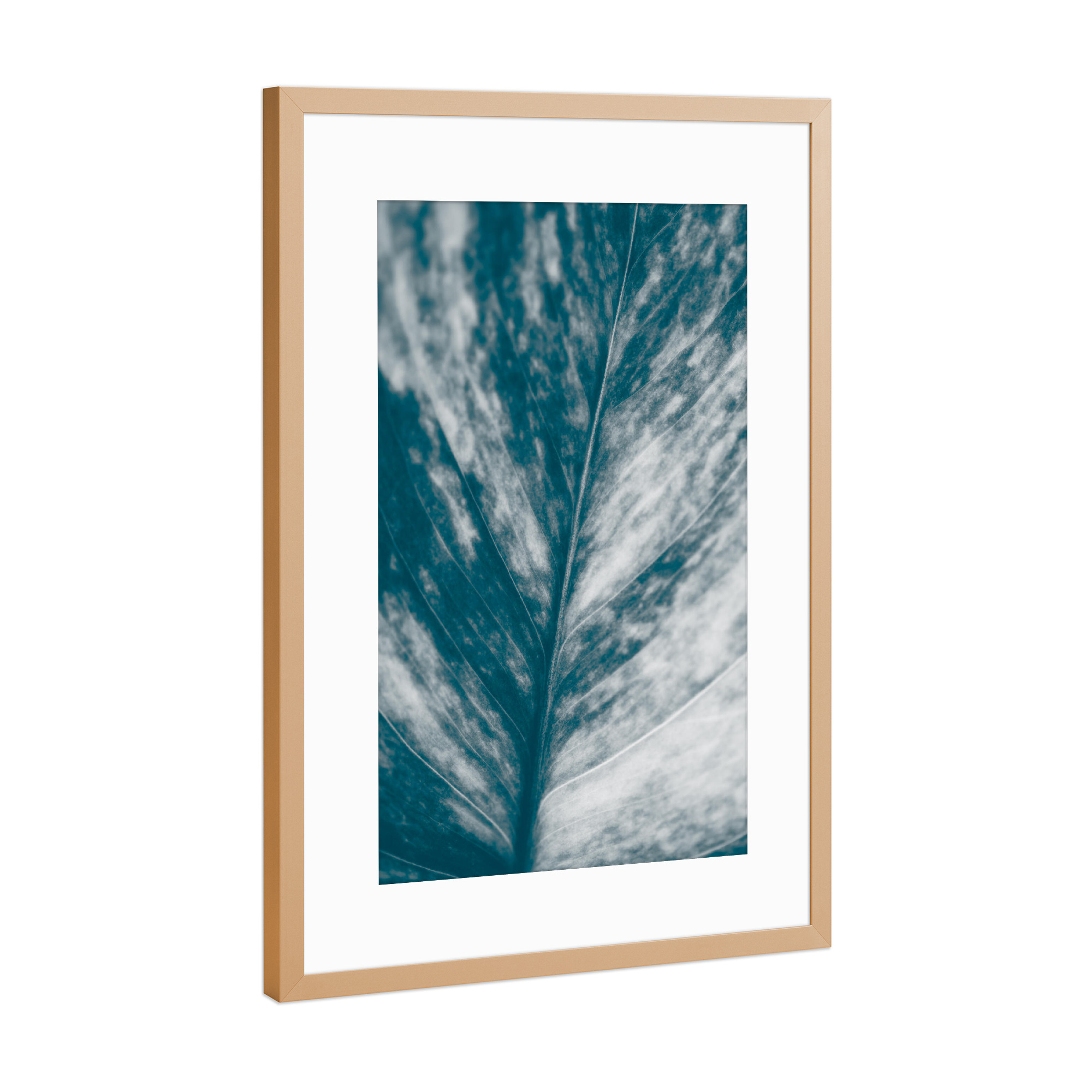 Poster mit Rahmen Kupfer "Blätterkunst" artboxONE - Natur,Floral - Blatt,Pflanzenblatt,Makrofotografie,Blattadern,Efeutute,Nahaufnahme