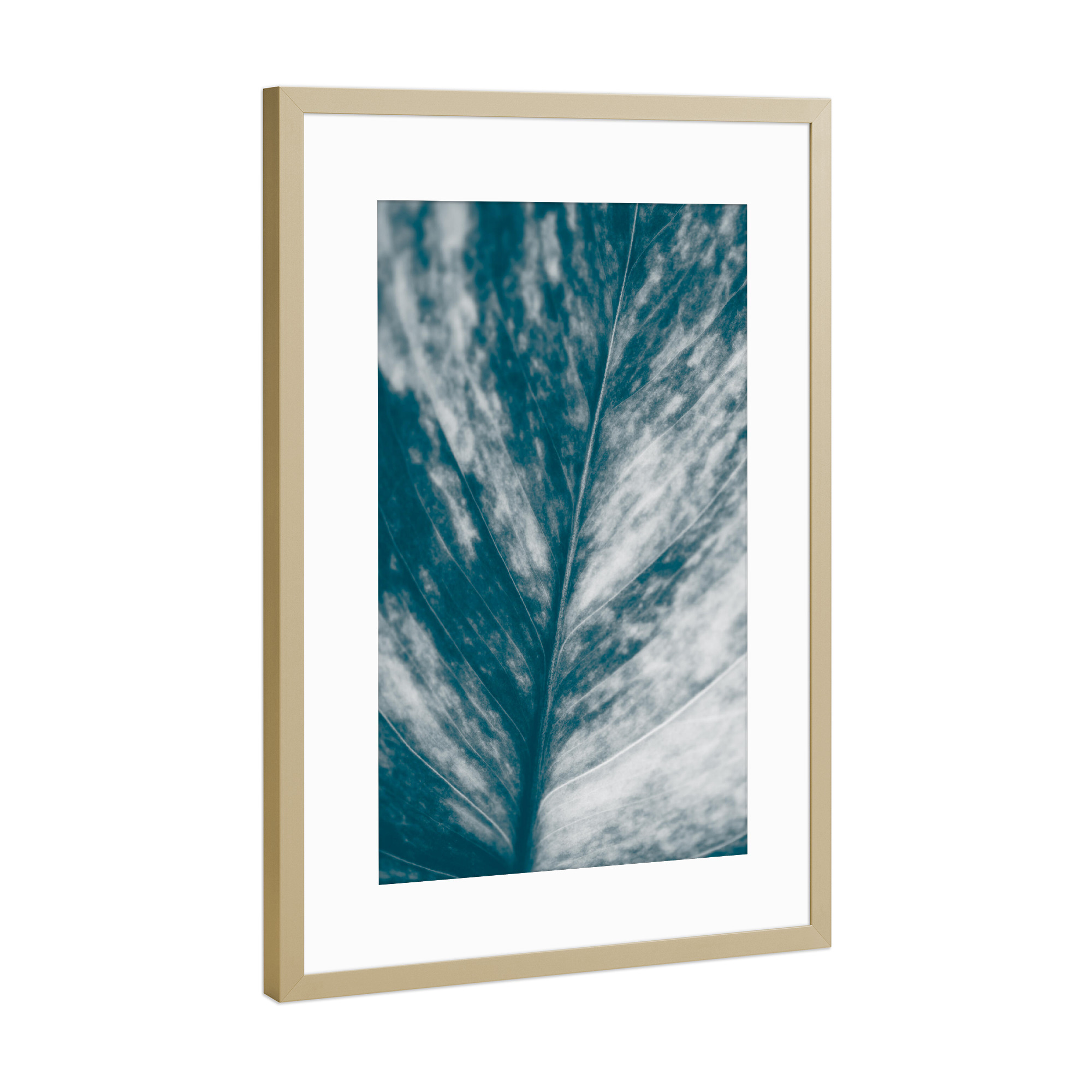 Poster mit Rahmen Gold "Blätterkunst" artboxONE - Natur,Floral - Blatt,Pflanzenblatt,Makrofotografie,Blattadern,Efeutute,Nahaufnahme