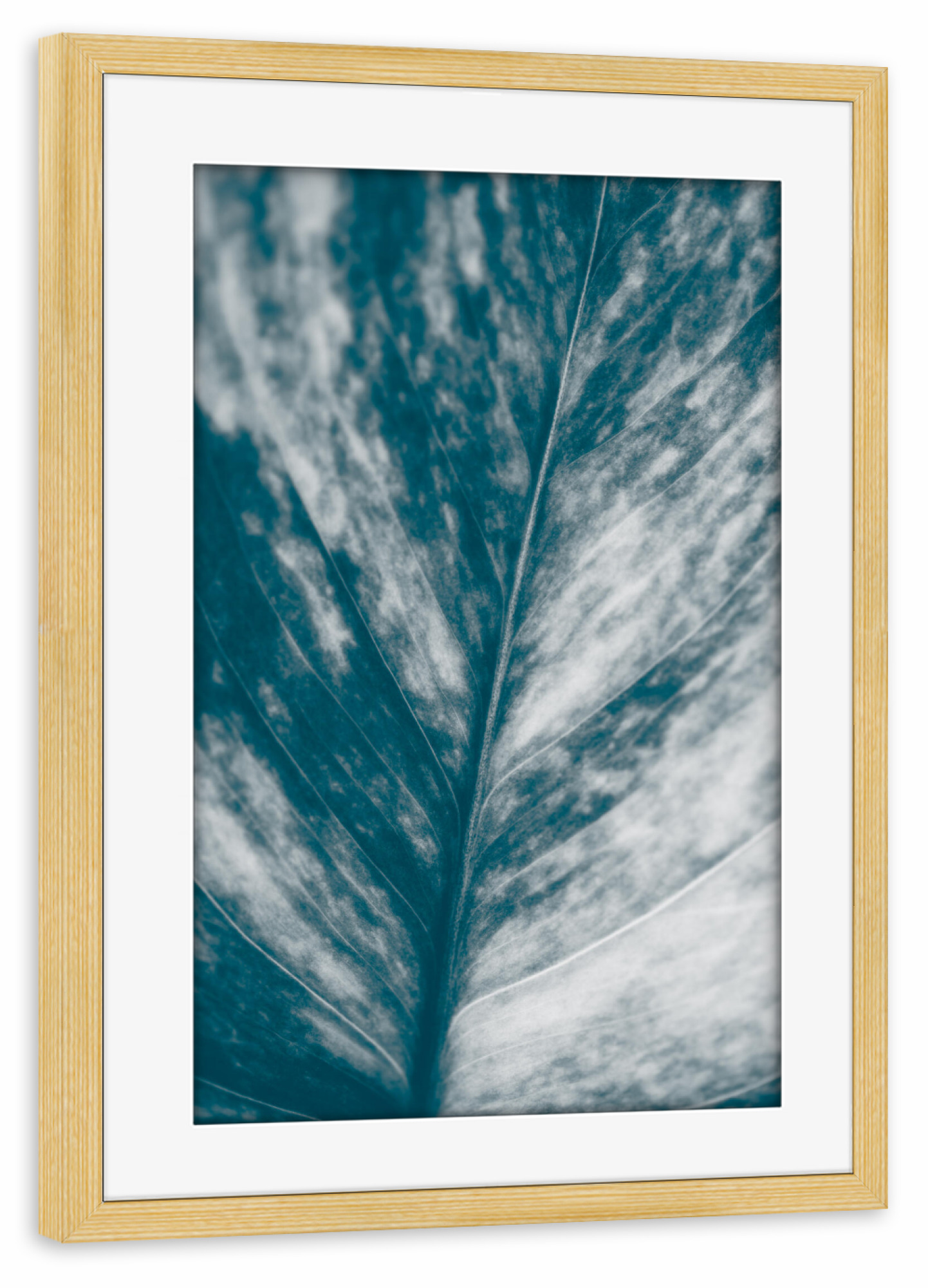 Poster mit Rahmen kiefer "Blätterkunst" artboxONE - Natur,Floral - Blatt,Pflanzenblatt,Makrofotografie,Blattadern,Efeutute,Nahaufnahme