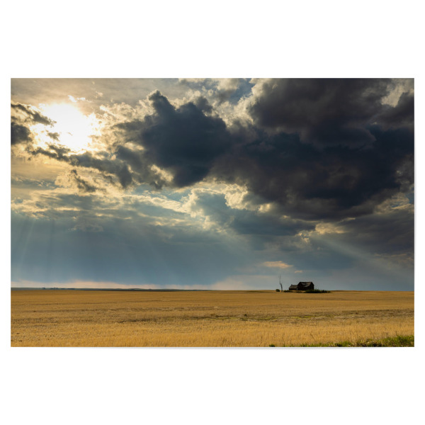 Poster "In der Praerie" artboxONE - Natur,Architektur